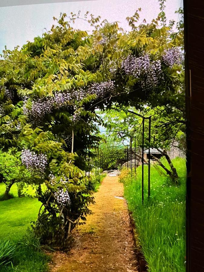 コーウェン Hares Hideaway At Coed Moelfa Bed & Breakfast エクステリア 写真