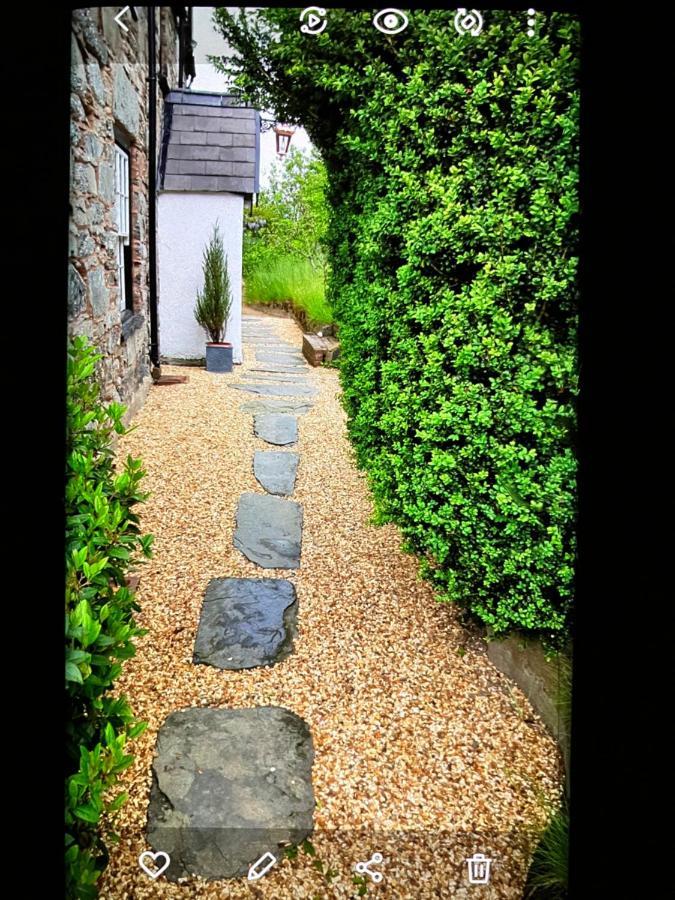 コーウェン Hares Hideaway At Coed Moelfa Bed & Breakfast エクステリア 写真