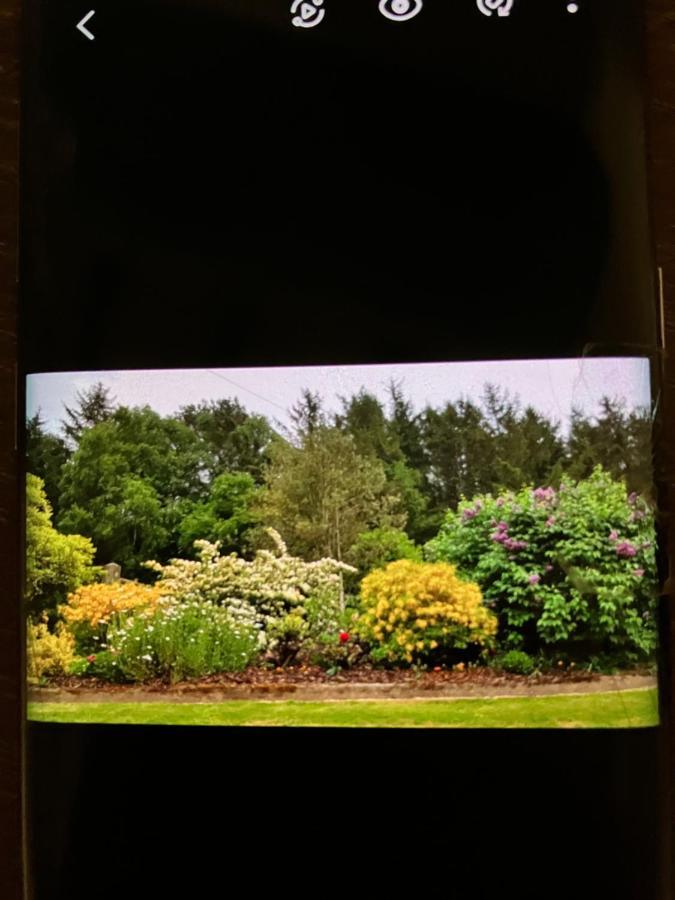 コーウェン Hares Hideaway At Coed Moelfa Bed & Breakfast エクステリア 写真