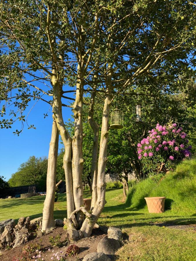 コーウェン Hares Hideaway At Coed Moelfa Bed & Breakfast エクステリア 写真