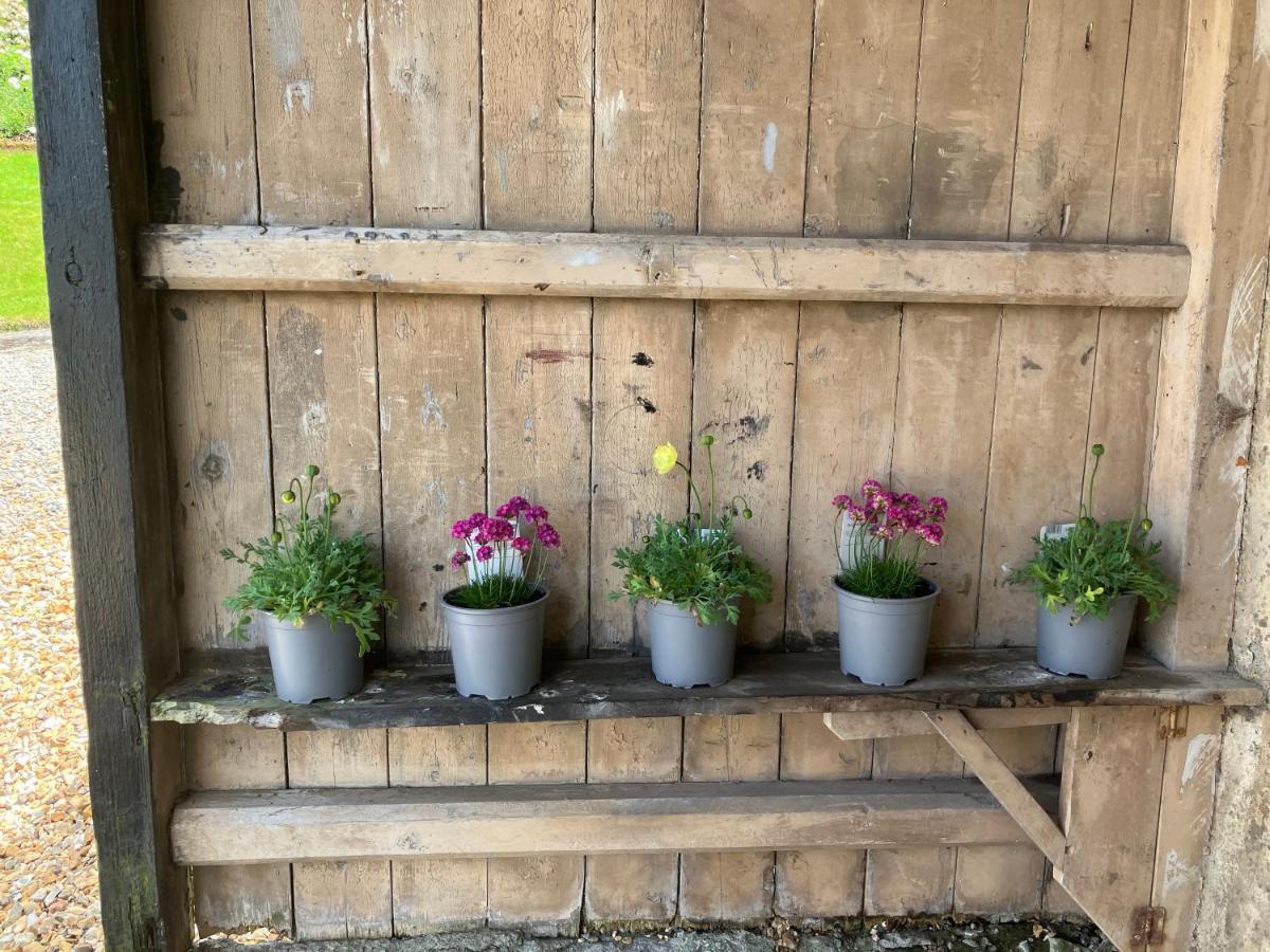 コーウェン Hares Hideaway At Coed Moelfa Bed & Breakfast エクステリア 写真
