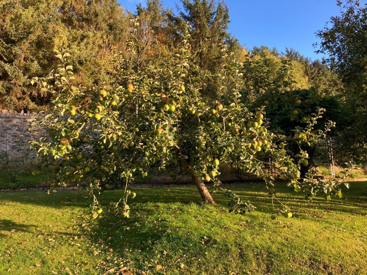 コーウェン Hares Hideaway At Coed Moelfa Bed & Breakfast エクステリア 写真
