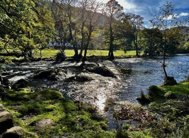コーウェン Hares Hideaway At Coed Moelfa Bed & Breakfast エクステリア 写真