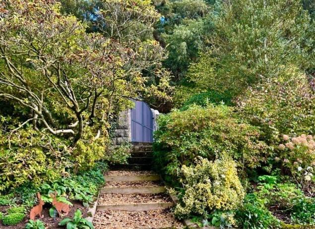 コーウェン Hares Hideaway At Coed Moelfa Bed & Breakfast エクステリア 写真